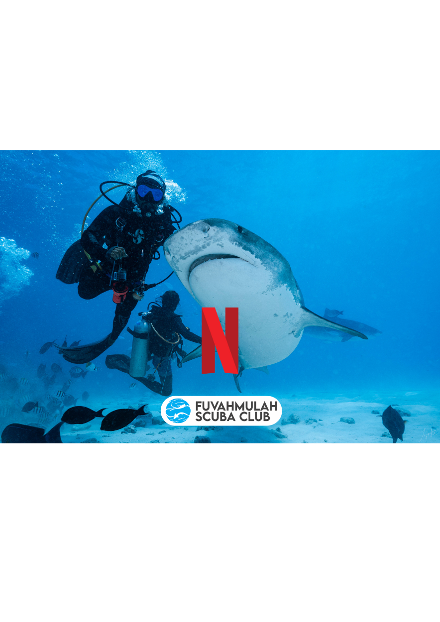 'All the Sharks', Now Streaming on Netflix, featuring Fuvahmulah Island