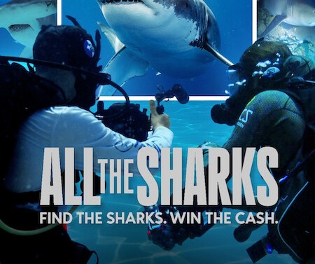 'All the Sharks', Now Streaming on Netflix, featuring Fuvahmulah Island