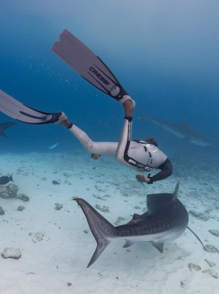 Free Dive Adventurer