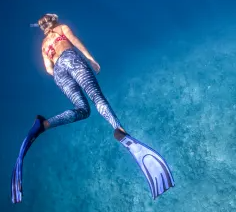 Dive Package Banner Image