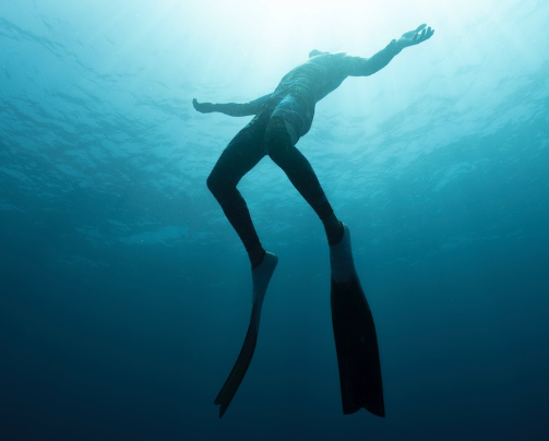 Aqua Explorer