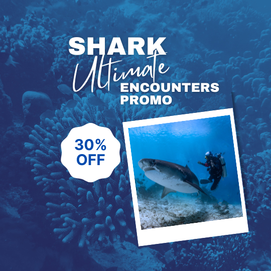 Exclusive June - August 2025 Deal: Save More!